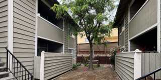 Available Apartments at E 6th Street, Antioch, CA Gallery 15