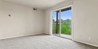 Chimney Top Apartments Gallery 19
