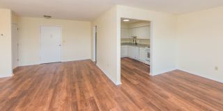 Chestnut Hill North Apartments Gallery 12