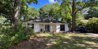 Fantastic Home - James Island Gallery 1