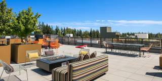 Ion Town Center Gallery 17