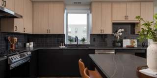 The Ansel Residences Gallery 25