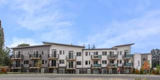 Allegro Lynwood Gallery 31