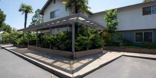 Driftwood Village Gallery 25