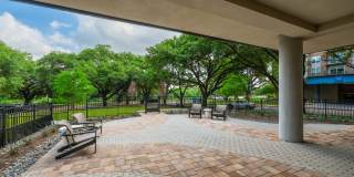 Encore Lakeside Gallery 23