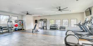 The Madrid Gallery 50