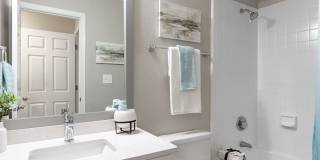 ARIUM Lenox Park Gallery 4