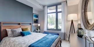 The Lindley Gallery 27