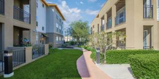 The Village at Town Center Gallery 9