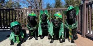 Available now—and easier to get into than a parking spot at the Beach! Rents always include high speed internet, cable, water, sewer, trash  pest control without any community fees! Gallery 1