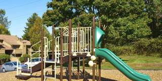 Woodcliffe Apartment Homes Gallery 18