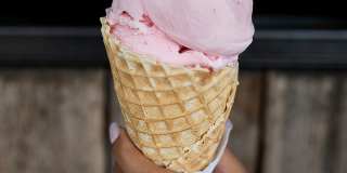 Novel Cary Gallery 68