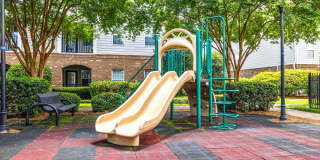 Olympus Carrington Gallery 32