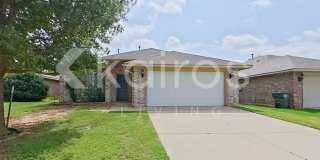4209 Snowy Owl Drive Gallery 1