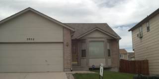 Ranch Style Home w/ Finished Basement Ranch Style Home w/ Finished Basement Gallery 1