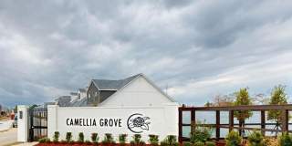 Springwood Townhomes Gallery 31