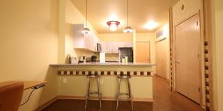 Settlement Place Gallery 120