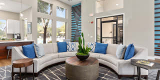 Kota North Scottsdale Gallery 15