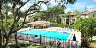 202 Foxtail Dr Gallery 16