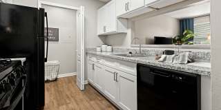 Atlas at St. George Gallery 3