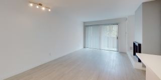 Club Marina Gallery 4