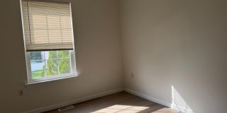 87 Sassafras Court Gallery 14