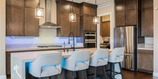 11080 Black Fire Opal Drive Gallery 1