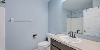 3935 Cherrybrook Loop Gallery 19
