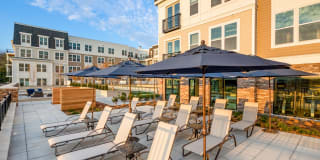 Harbor Landing Gallery 34