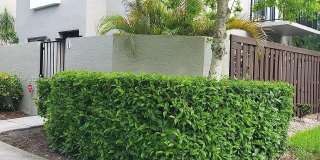 10425 SW 154th Ct Gallery 1