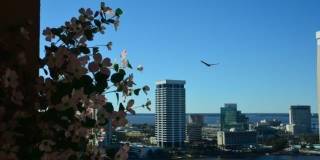 St Johns River Views! Gallery 18