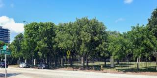 8430 Harding Ave Gallery 62