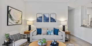 Terra at Portola Park Gallery 4