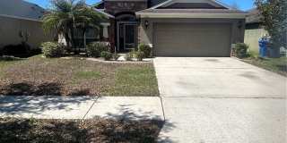 11543 TANGLE CREEK BOULEVARD Gallery 1