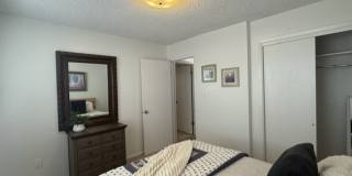 Trent Court 1522 Gallery 17