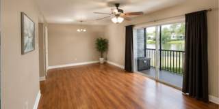 1/1 Lakefront Living in Carrollwood! Available July 10th! Gallery 4
