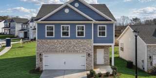 Skymor Panola Gallery 1