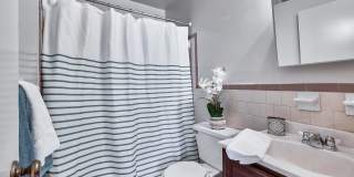 Misty Pines Gallery 19