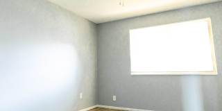 Oasis Gallery 29