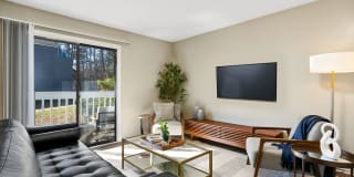 The Forest Gallery 2