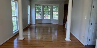 911 LAKE FRONT Drive Gallery 3