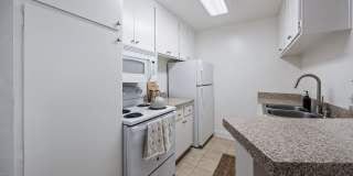 Ocean Club Gallery 26