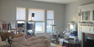 HUGE 2 bed in Allston Gallery 13