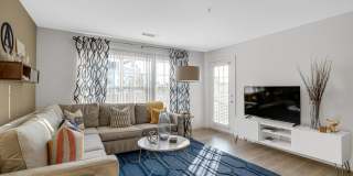 TGM Anchor Point Gallery 9