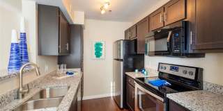 Anchor at South Shore Gallery 1