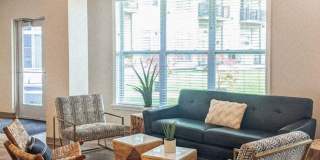 Electric City Gallery 15