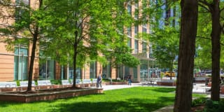 AVA Fort Greene Gallery 30