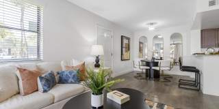 Alvista Hollywood Gallery 58