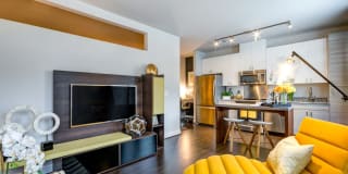 455 at Tinner Hill Gallery 7