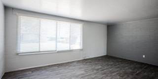 Icon on Stella Gallery 9